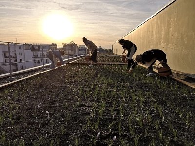 Comment consommer des produits locaux ?