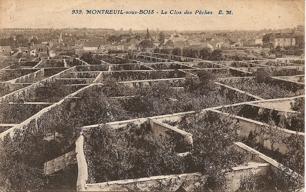 D'hier à aujourd'hui : l'Île-de-France terre nourricière