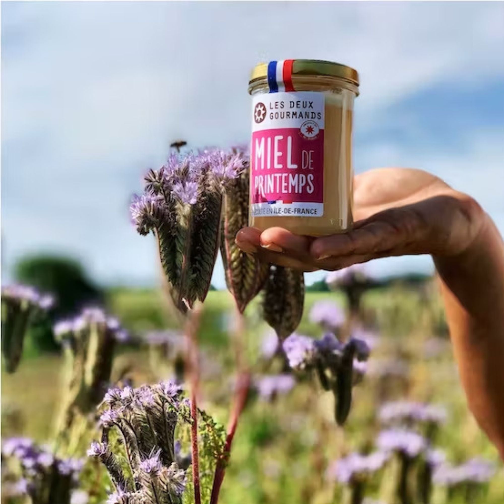 Miel de printemps du Gâtinais