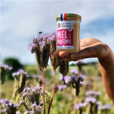 Miel de printemps du Gâtinais